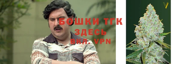 ешки Нефтегорск